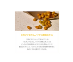 KAINE Vita Drop Serum