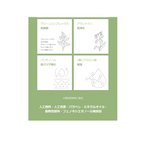 KAINE Rosemary Relief Gel Cleanser