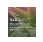 BJEWEL PINK ALOE GLOW MOISTURE CREAM 150ml