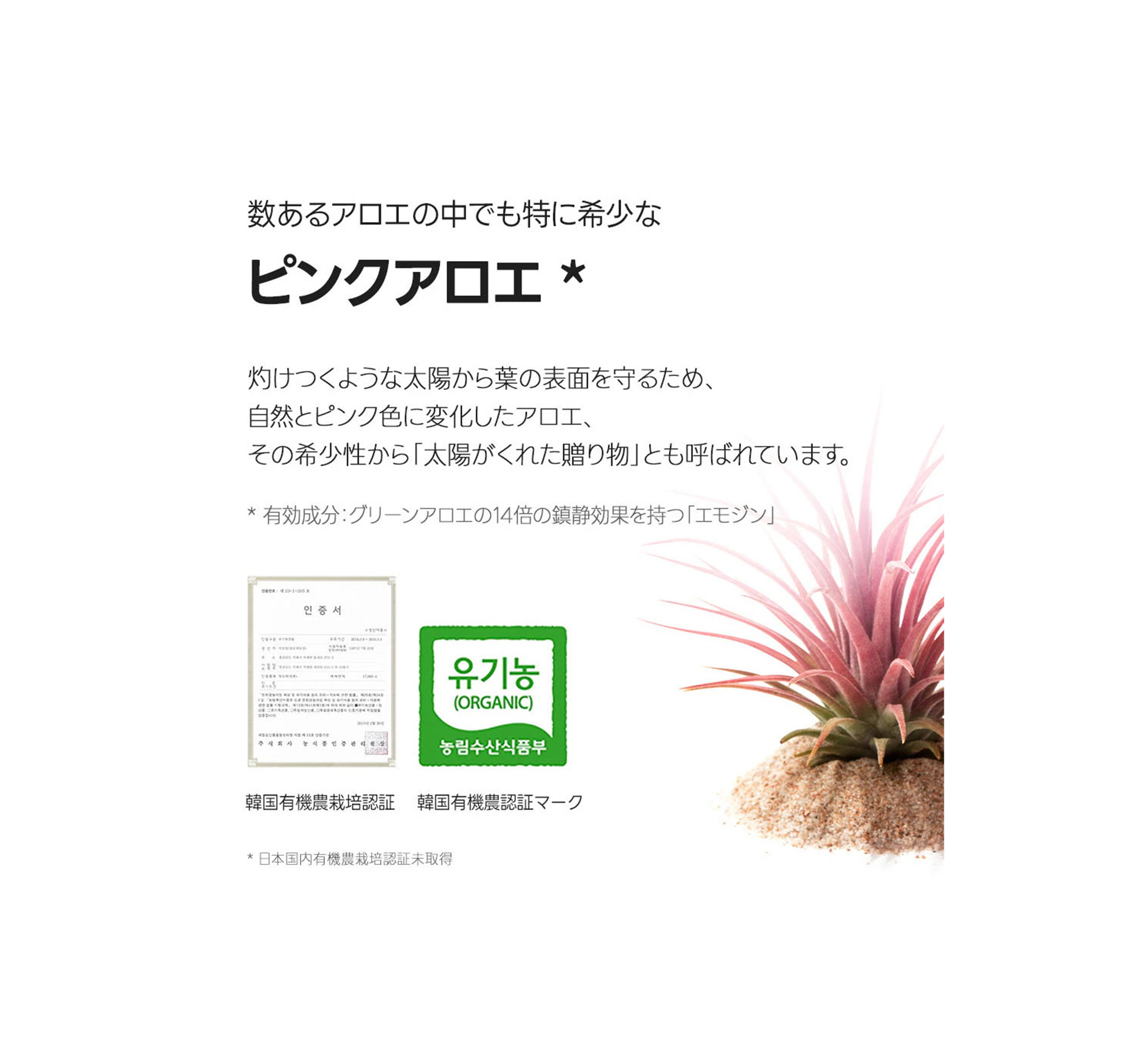 BJEWEL PINK ALOE GLOW MOISTURE CREAM 150ml