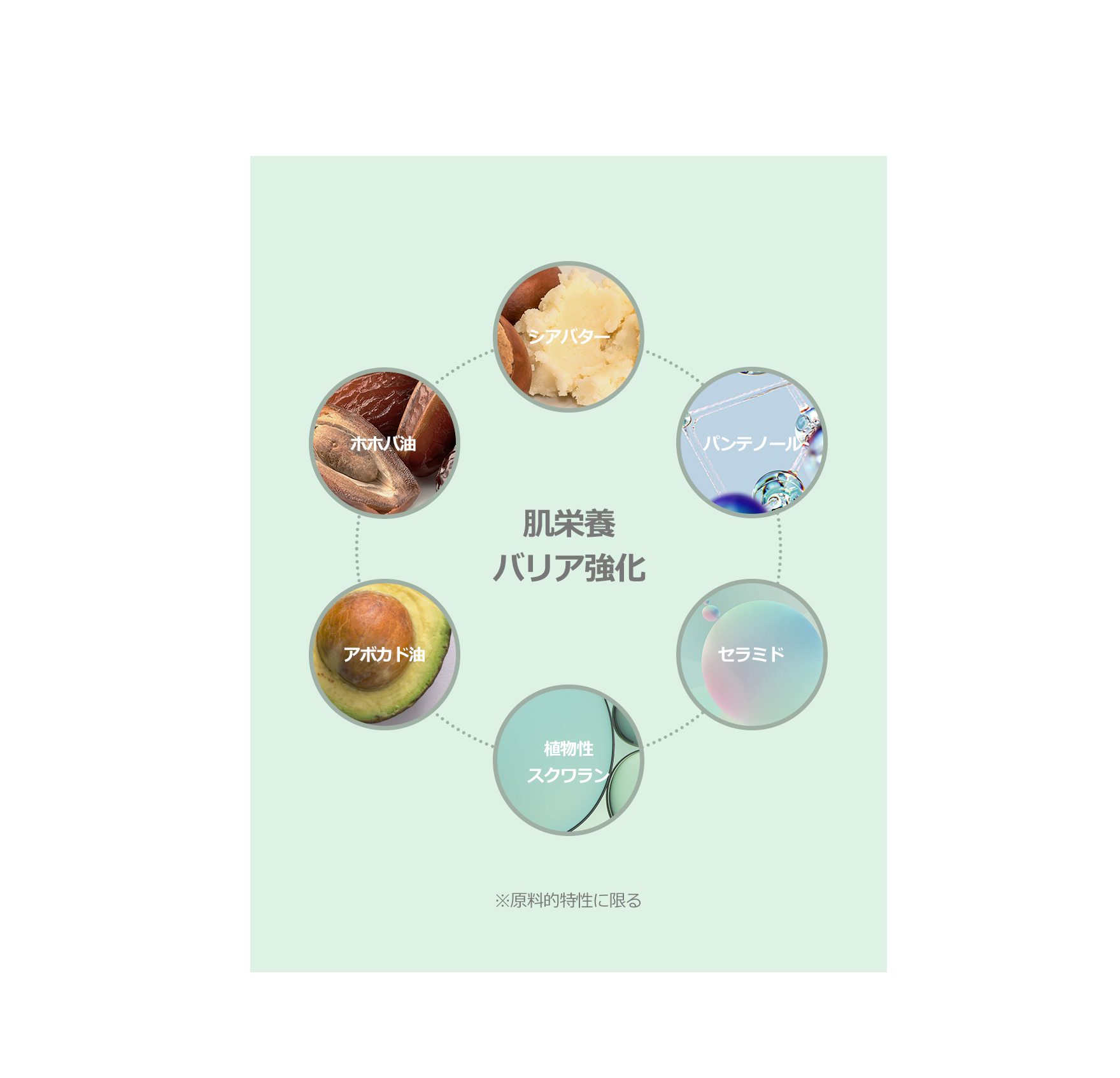 KAINE Glow Melting Lip Balm Pure