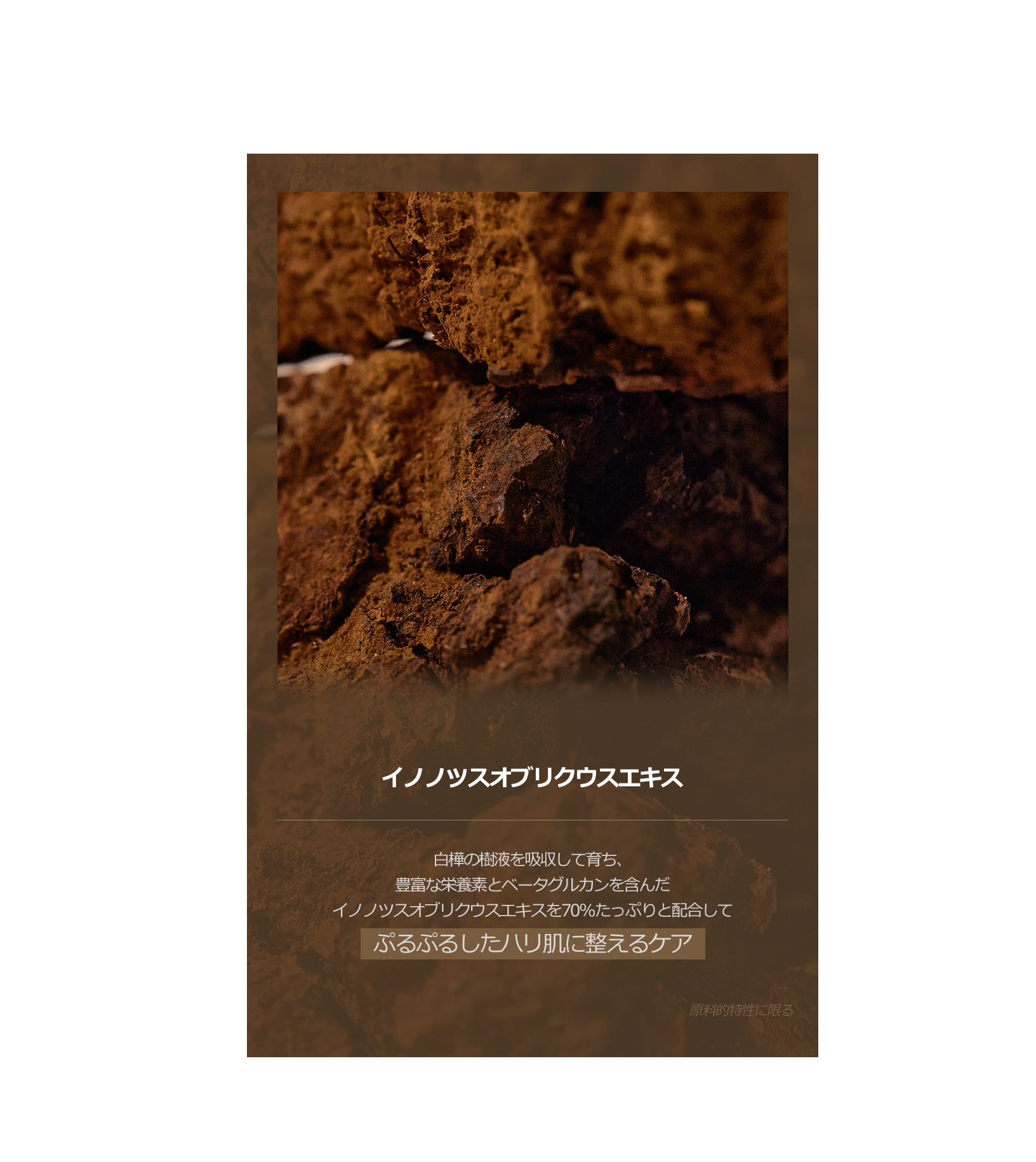 KAINE Chaga Collagen Charging Serum