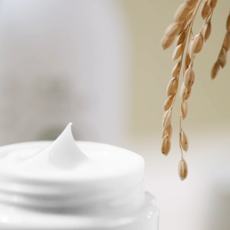 Rice Cream